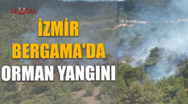 İzmir Bergama'da orman yangını